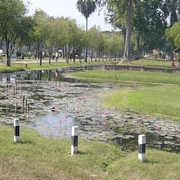 Loy Krathong Sukothai .:. ลอยกระทง ใน สุโขทัย